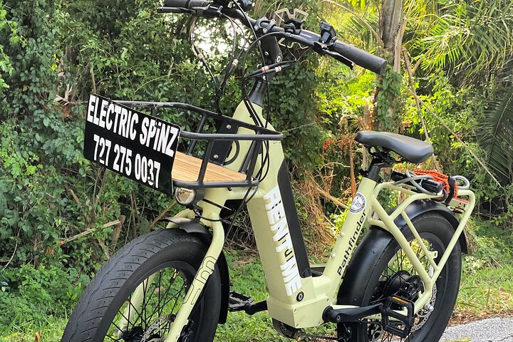 Half Day Electric Bike Rental on the Pinellas Trail - Photo 1 of 5